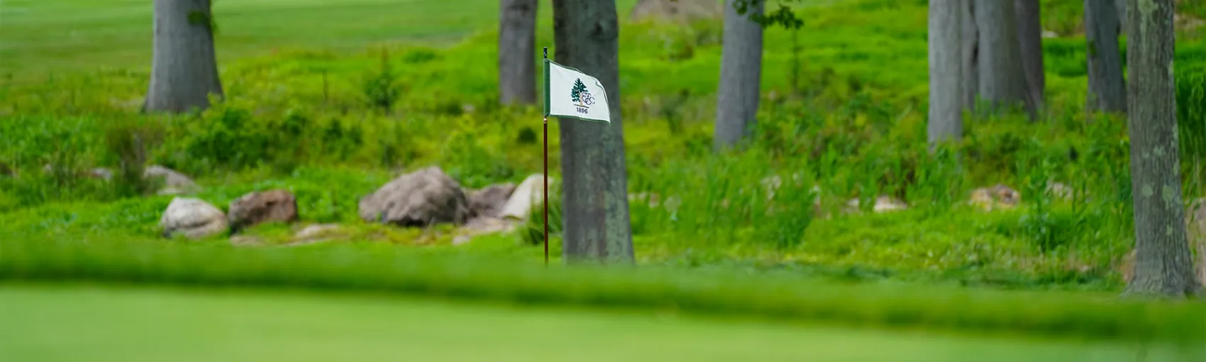 Semifinals Set for 104th W.Y. Dear Junior Championship