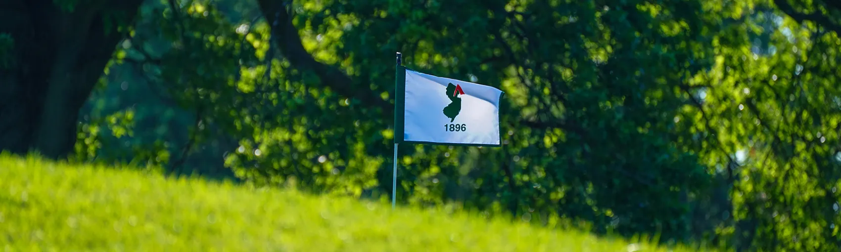Wednesday Roundup - June 25, 2025