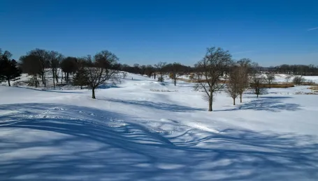 Wednesday Roundup - January Edition