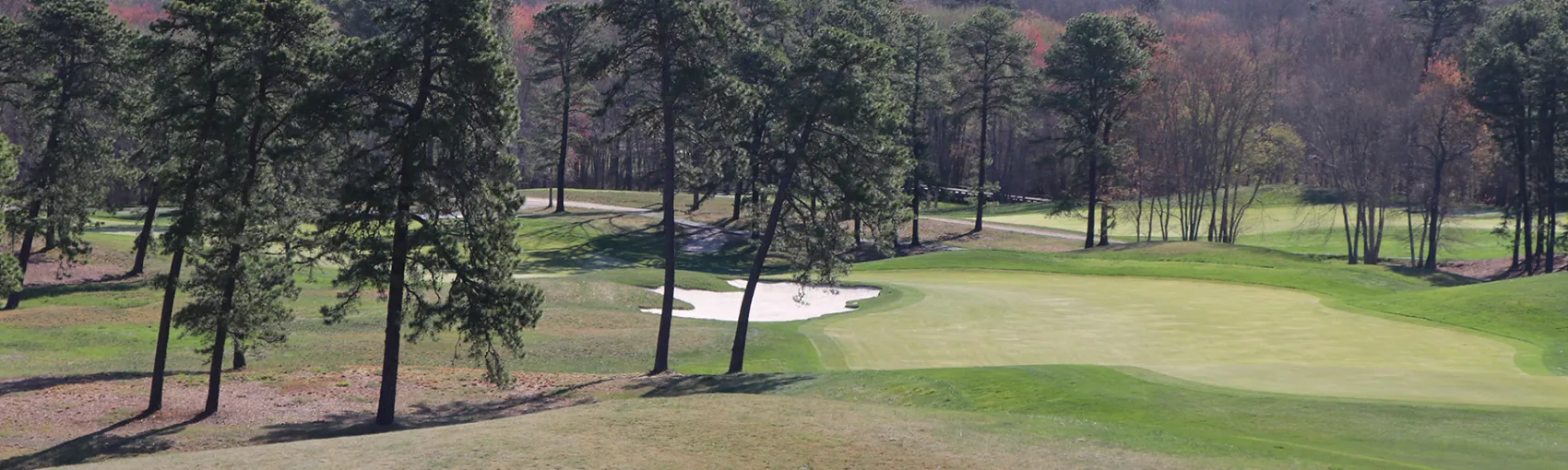 Wednesday Roundup - April 22, 2026