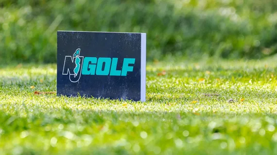 Wednesday Roundup - March Edition