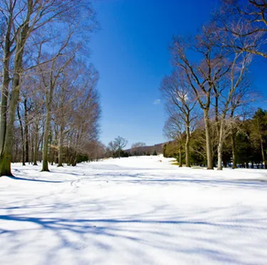 NJSGA Looks Forward To Strong 2011