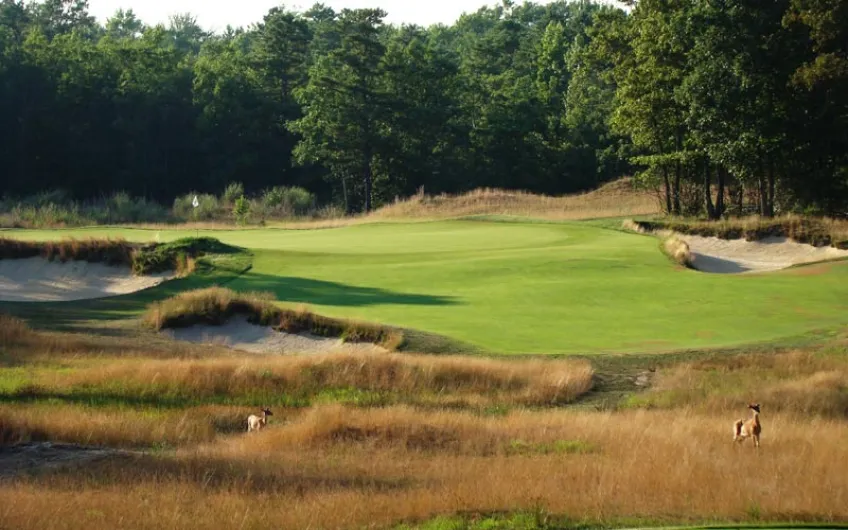 Three From N.J. Playing In U.S. Senior Amateur At Hidden Creek